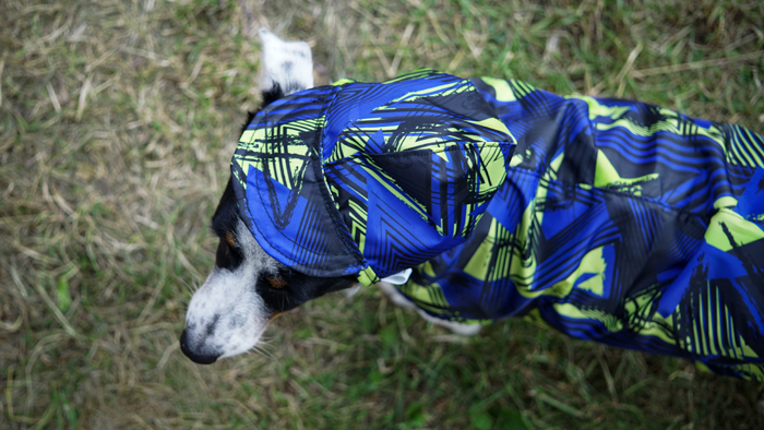 Dog raincoat 67