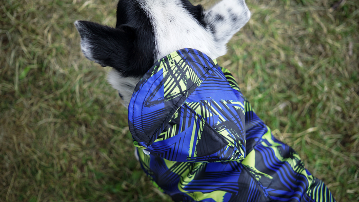 Dog raincoat 68