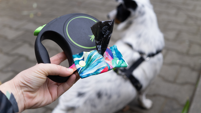 Pet waste bag dispenser 72